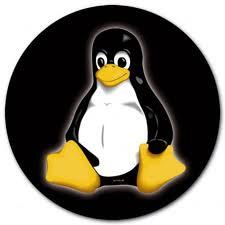 Top 5 – greseli facute de incepatorii Linux