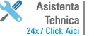 Cum soliciti asistenta tehnica pentru serviciul de hosting?