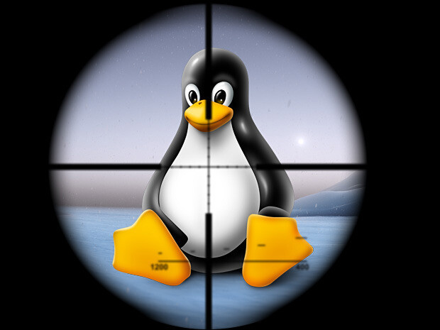 Malware pentru Linux distribuit prin atacuri brute force