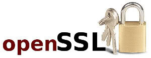 Inca un bug periculos eliminat din OpenSSL
