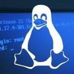 Utilizatorii de Linux sunt amenintati de un nou ransomware