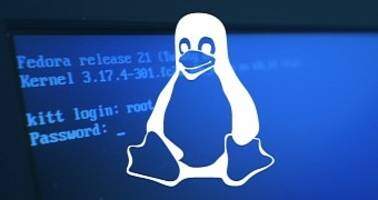 Utilizatorii de Linux sunt amenintati de un nou ransomware