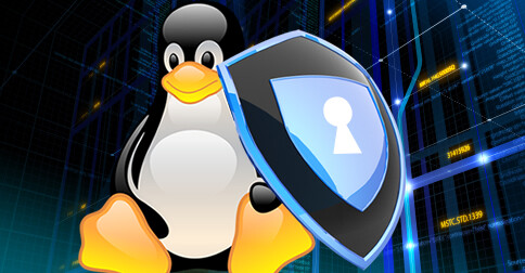 Bitdefender vine de hac primului ransomware pentru Linux