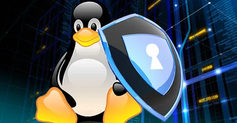 Bitdefender vine de hac primului ransomware pentru Linux